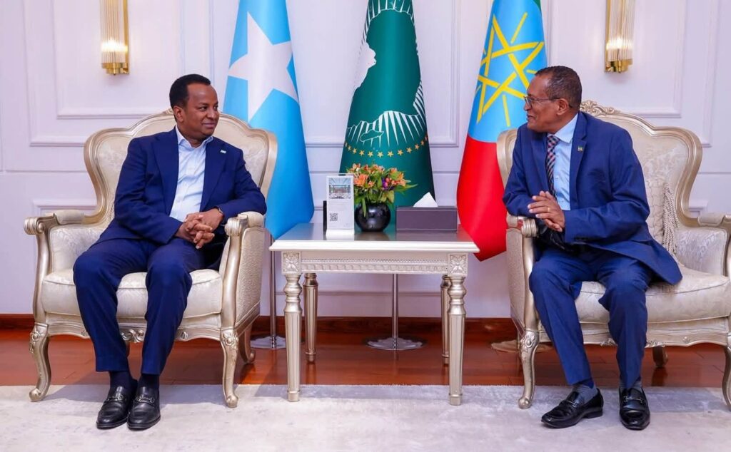 Wasiirka Arrimaha Dibadda Soomaaliya Cabdisalaan Cabdi Cali oo lagu soo dhoweynayo Addis Ababa