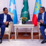 Wasiirka Arrimaha Dibadda Soomaaliya Cabdisalaan Cabdi Cali oo lagu soo dhoweynayo Addis Ababa