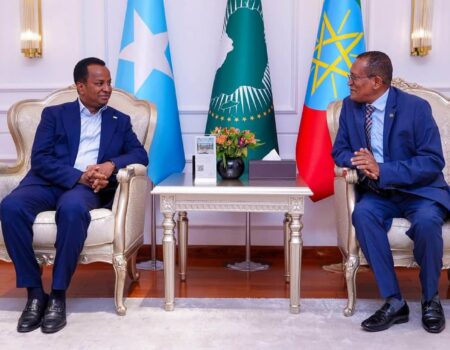 Wasiirka Arrimaha Dibadda Soomaaliya Cabdisalaan Cabdi Cali oo lagu soo dhoweynayo Addis Ababa
