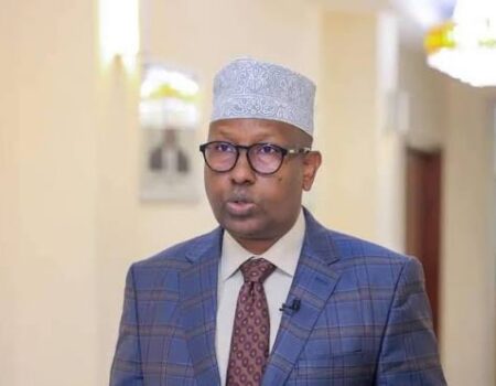 Wasiirka Gaashaandhigga Axmed Macallin Fiqi oo ka hadlaya duqeynta Aadan Yabaal