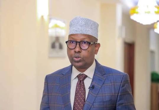 Wasiirka Gaashaandhigga Axmed Macallin Fiqi oo ka hadlaya duqeynta Aadan Yabaal