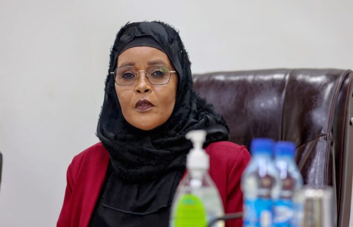 Sacdiya Yaasiin Xaaji Samatar iyo xubno ka tirsan Golaha Shacabka xilli la magacaabay guddiga doorashada guddoomiyaha
