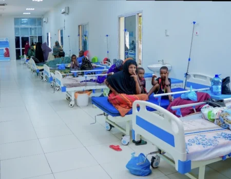 Mas’uuliyiin caafimaad oo ka qaybgalaya dib-u-eegista nidaamka dabagalka cudurrada Soomaaliya
