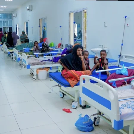 Mas’uuliyiin caafimaad oo ka qaybgalaya dib-u-eegista nidaamka dabagalka cudurrada Soomaaliya